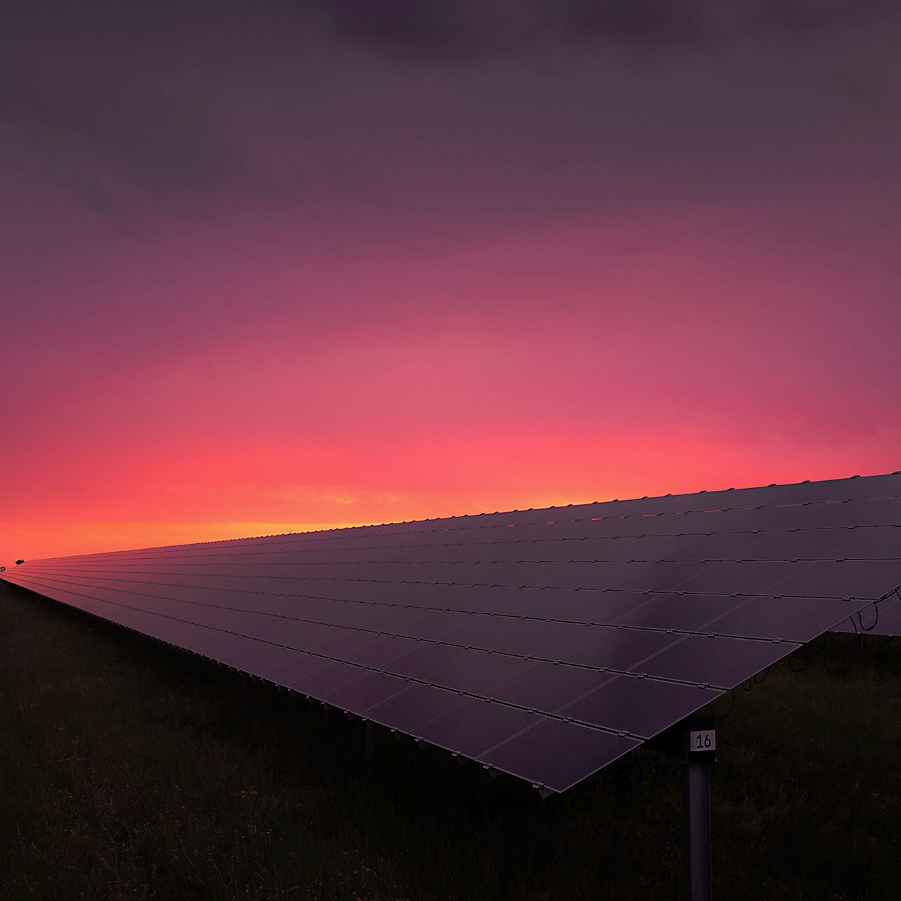 Solar panels in sun set