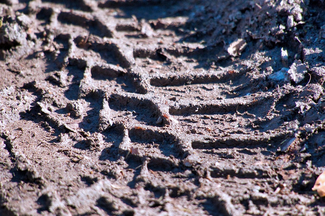 Tracks in mud