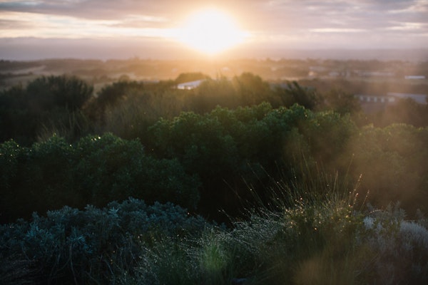 A landscape shot