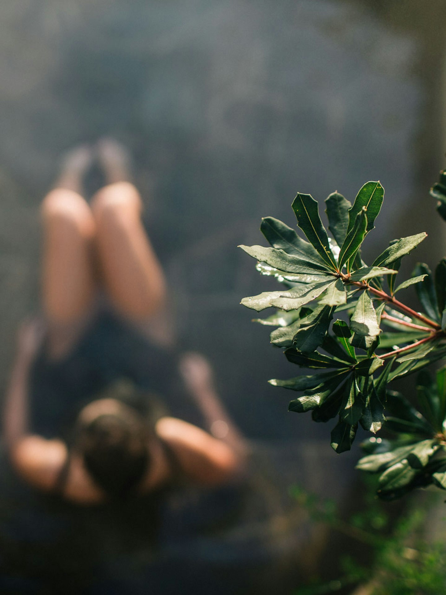 bird's eye view of lady in bathing suit sitting in geothermal pool with foliage in foreground