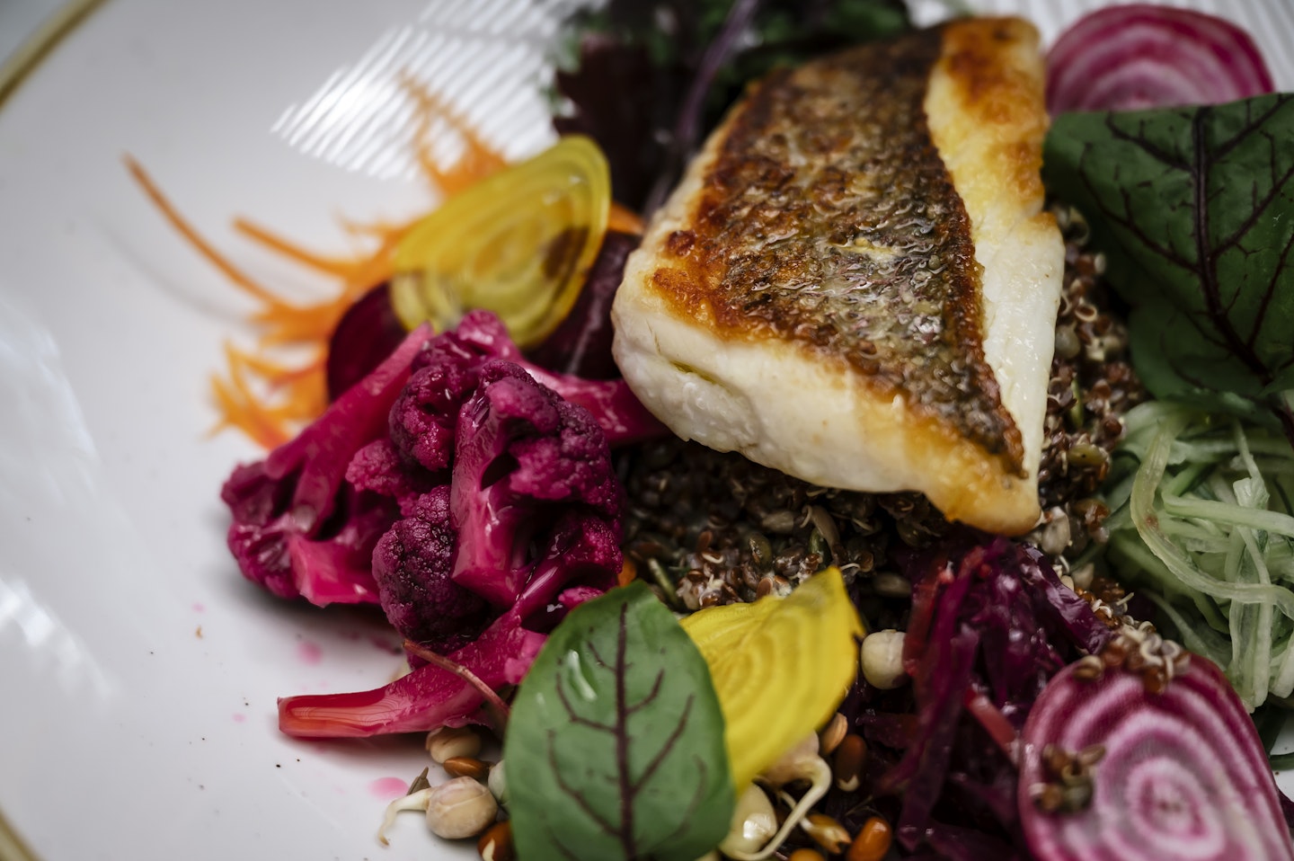 piece of fish sitting on a bed of beetroot, quinoa and garnished with beetroot leaves