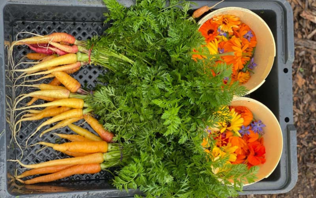 Local Produce Mornington Peninsula Hot Springs