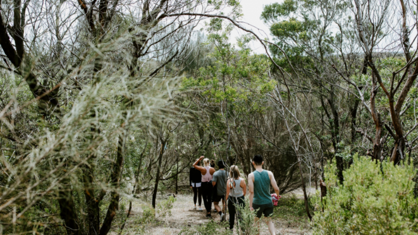 group of people walking in nature