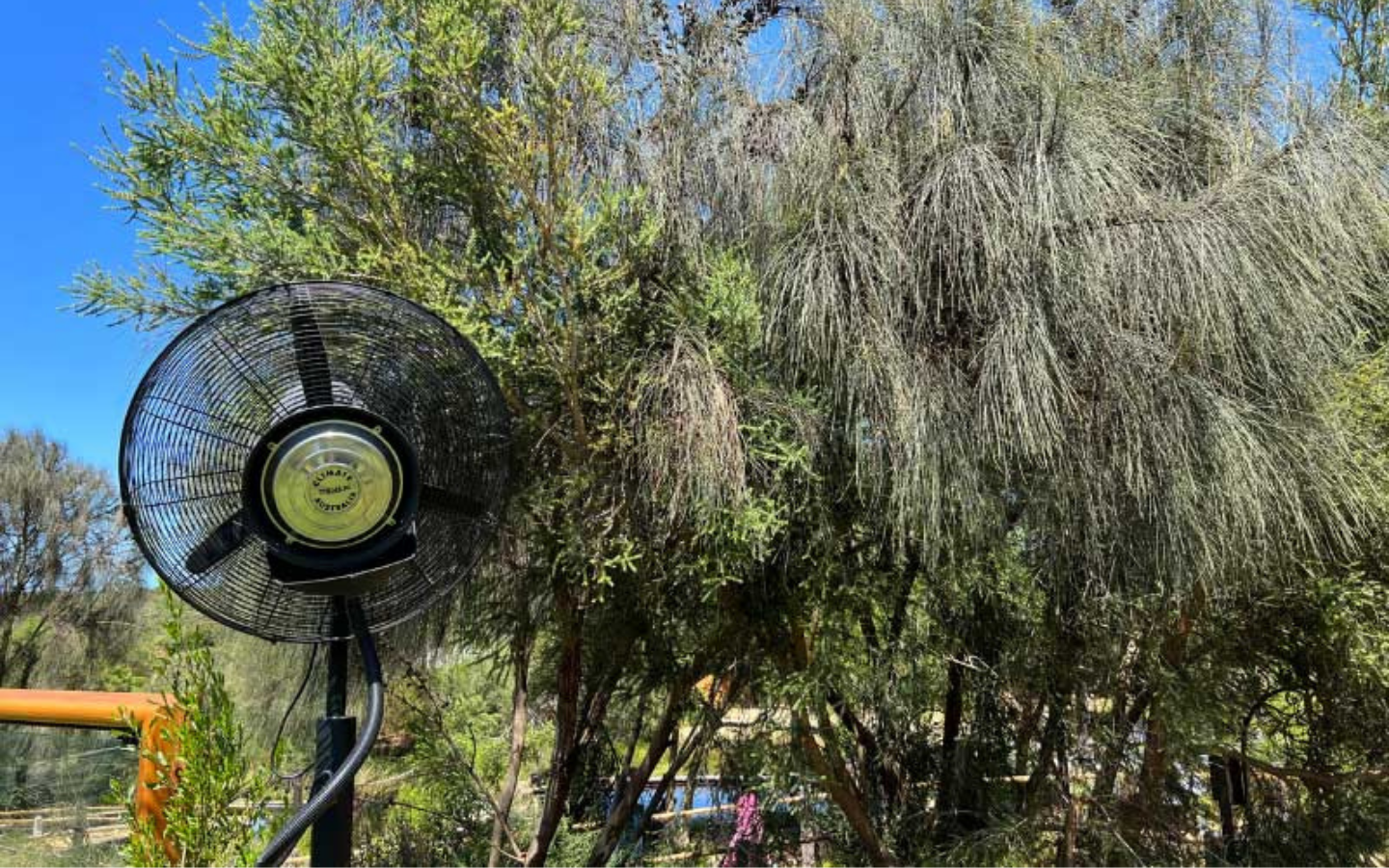 a fan outside in front of greenery
