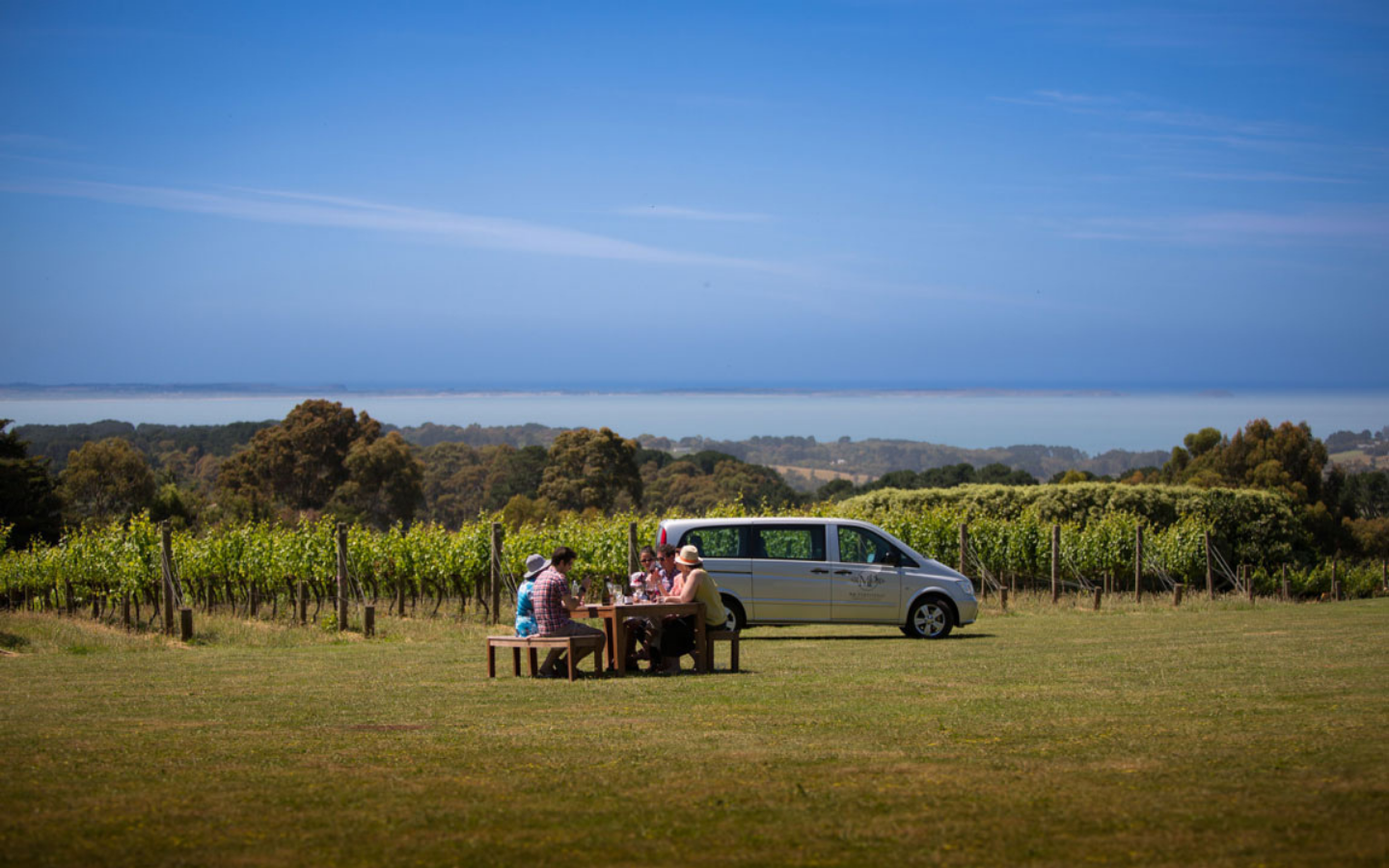 four people sitting on a picnic bench in front of a vineyard