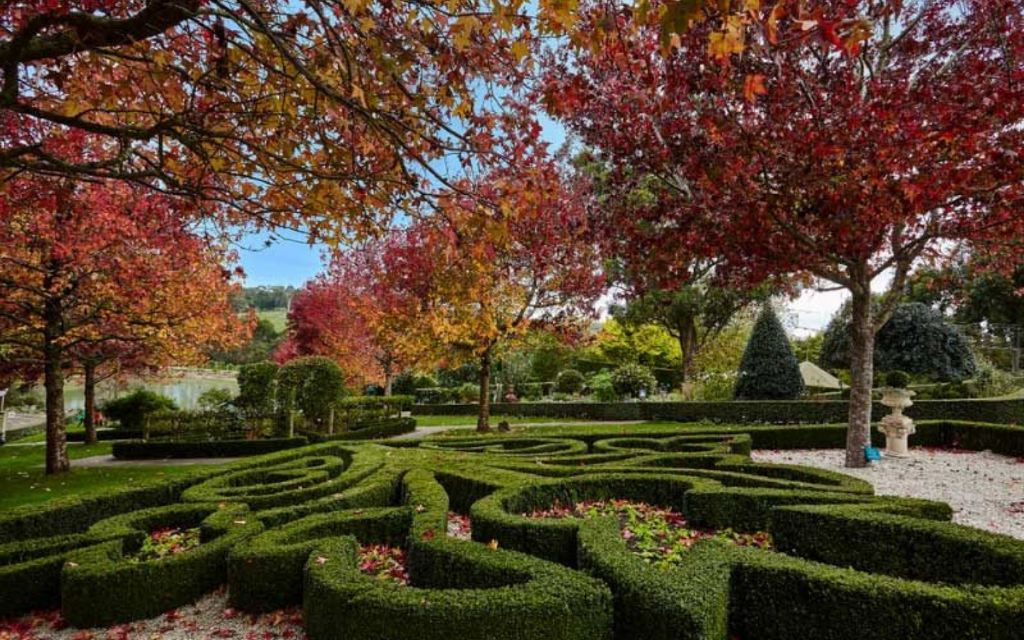 a green maze surrounded by autumn leaves