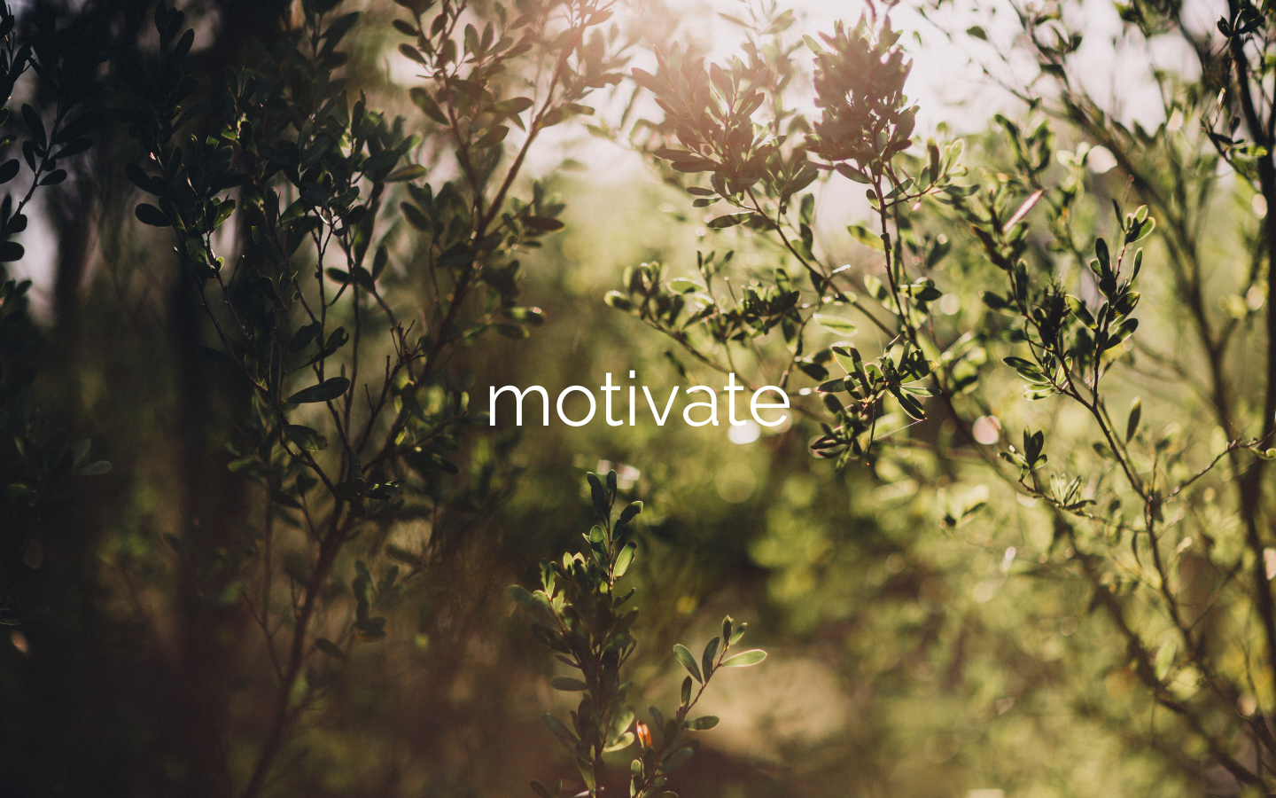 motivate in text sitting in front of bush texture