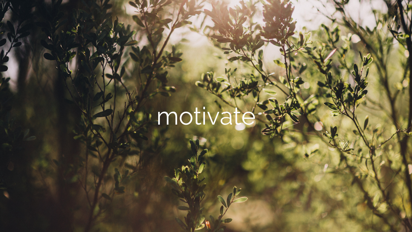 motivate in text sitting in front of bush texture