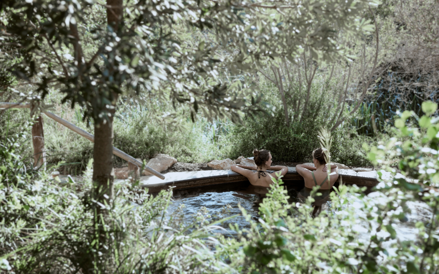 two girls sitting in a pool surrounded by tree life