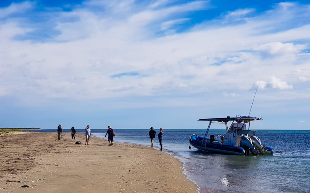 Watermaarq Boat Tours Peninsula Hot Springs