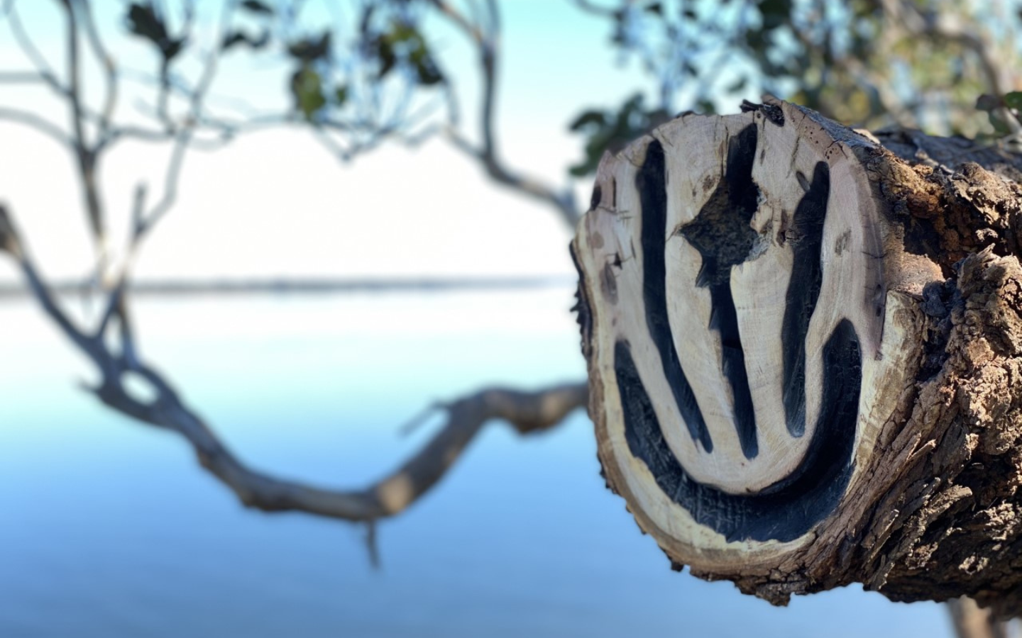 carved logo into a tree for Metung Hot Springs