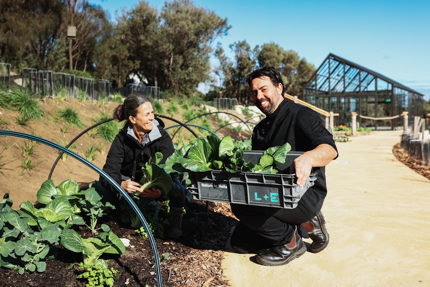 a woman and a man amongst lettuce in a food bowl