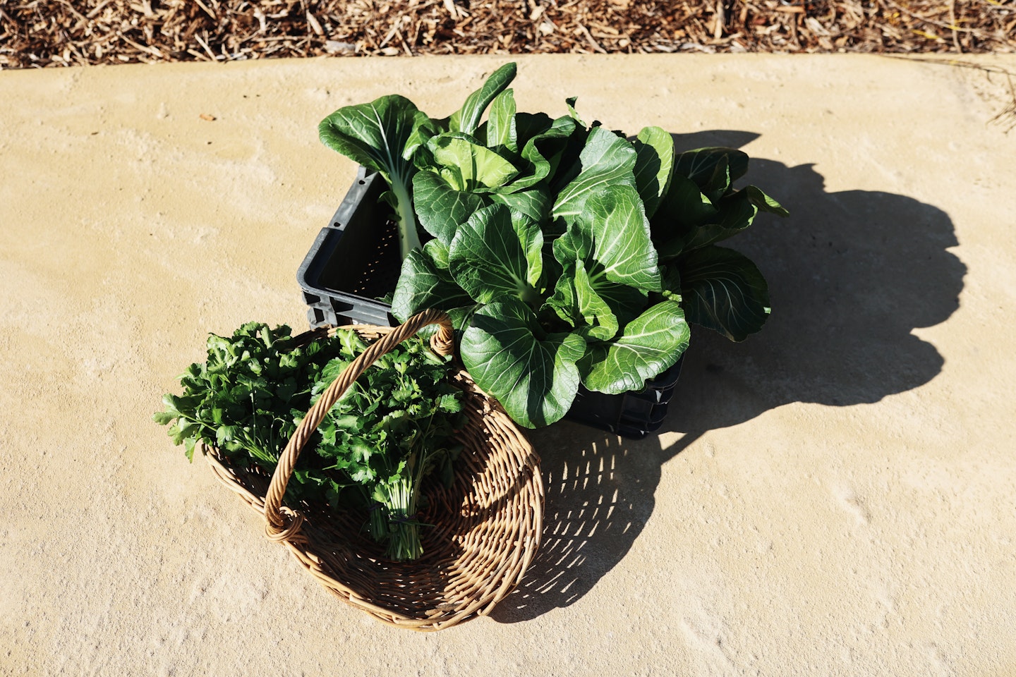 peninsula hot springs food menu herbs and lettuce