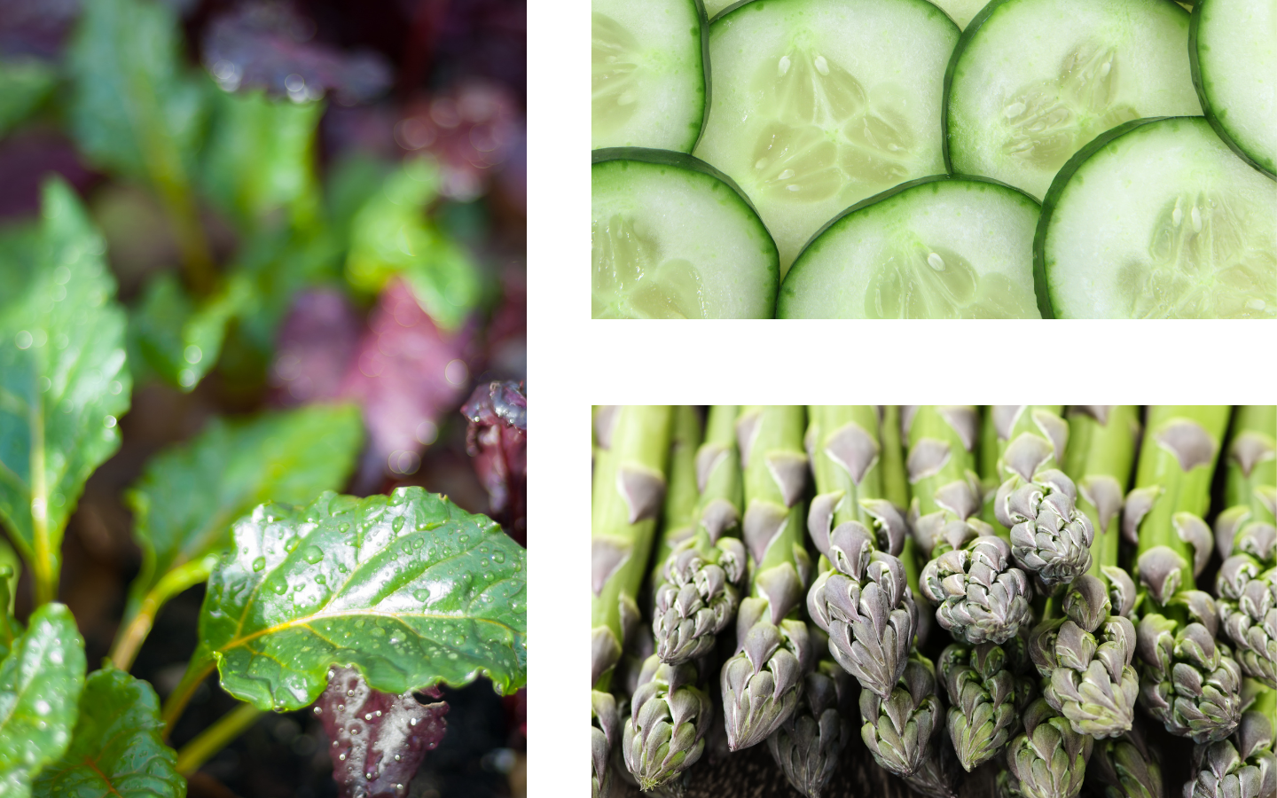 a group of spring vegetables