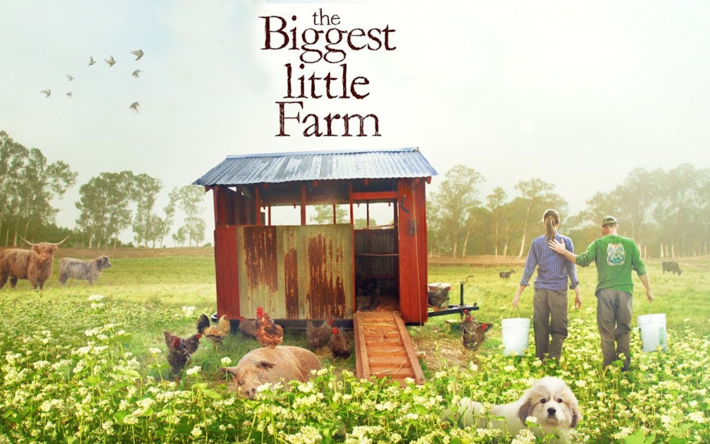 The Biggest Little Farm