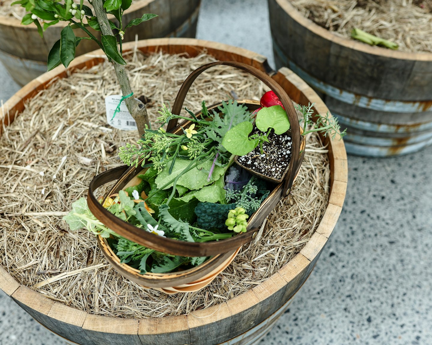 a basket with garden produce