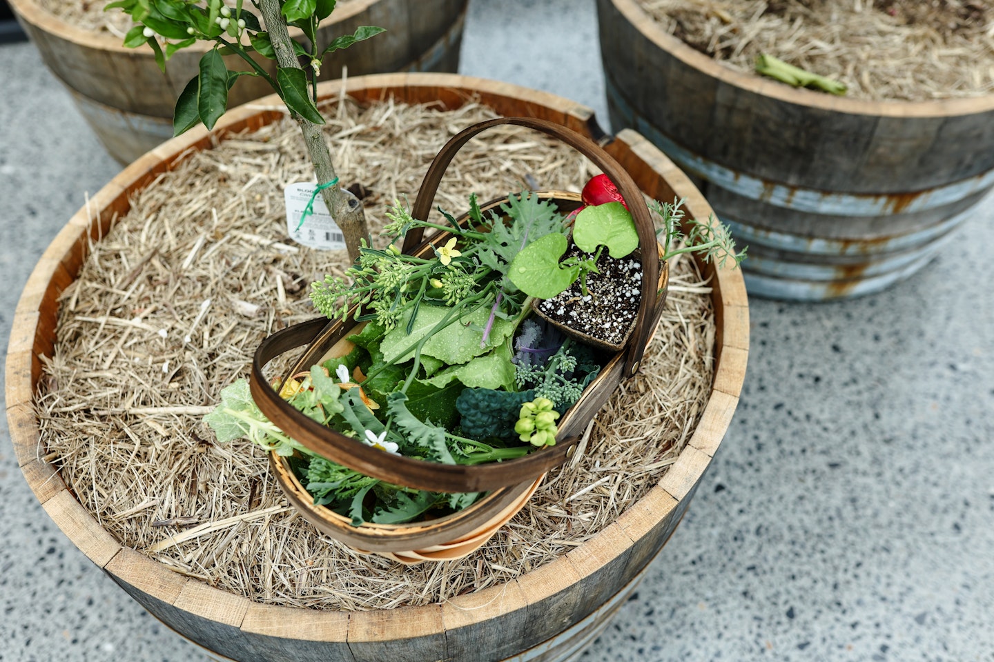 a basket with garden produce