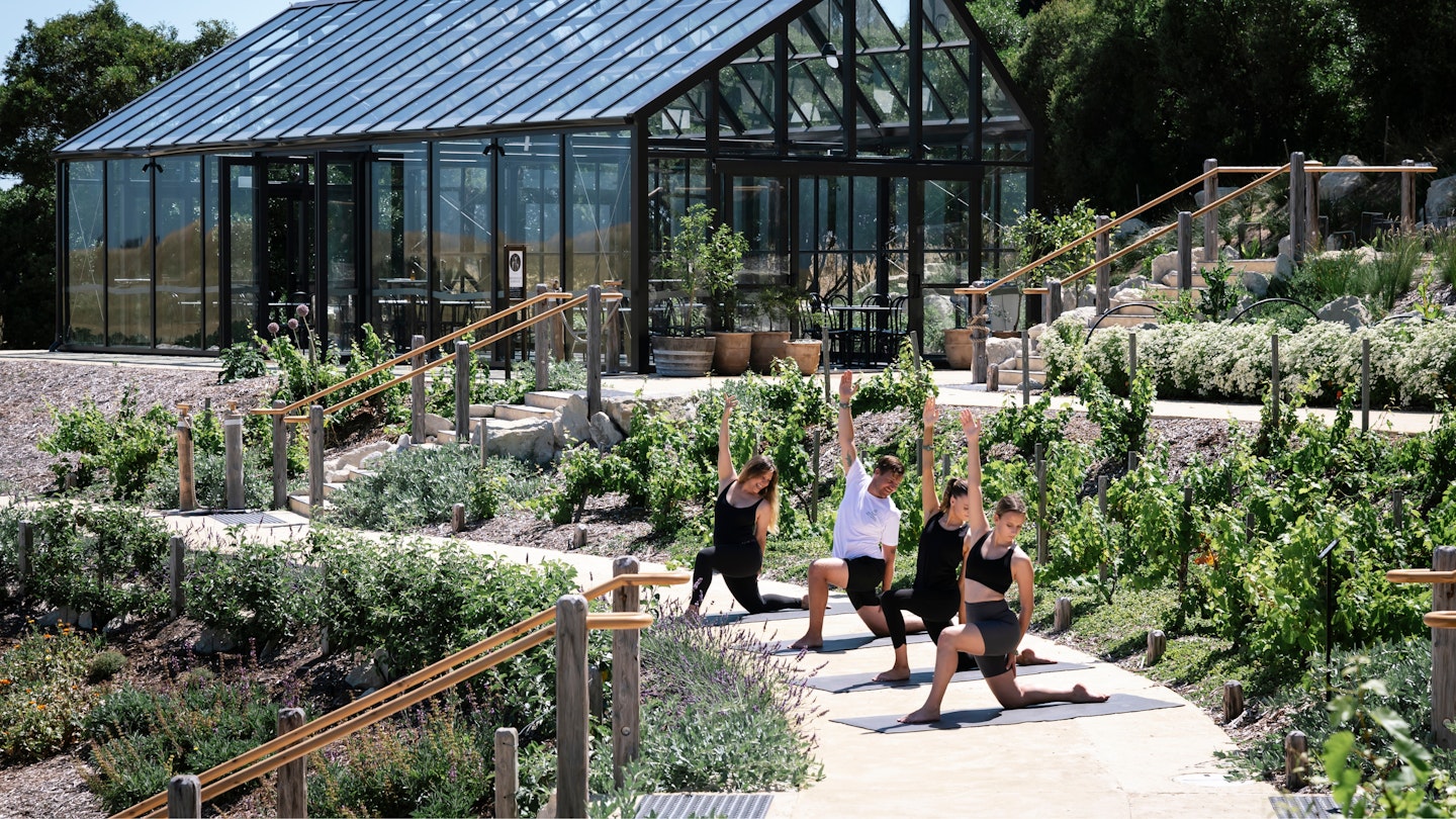 a group of people doing yoga in the food bowl