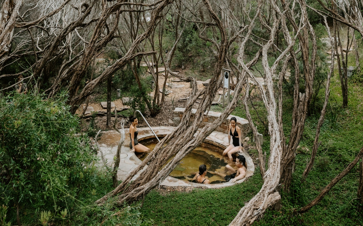 a group of people sitting a pool surrounded by trees