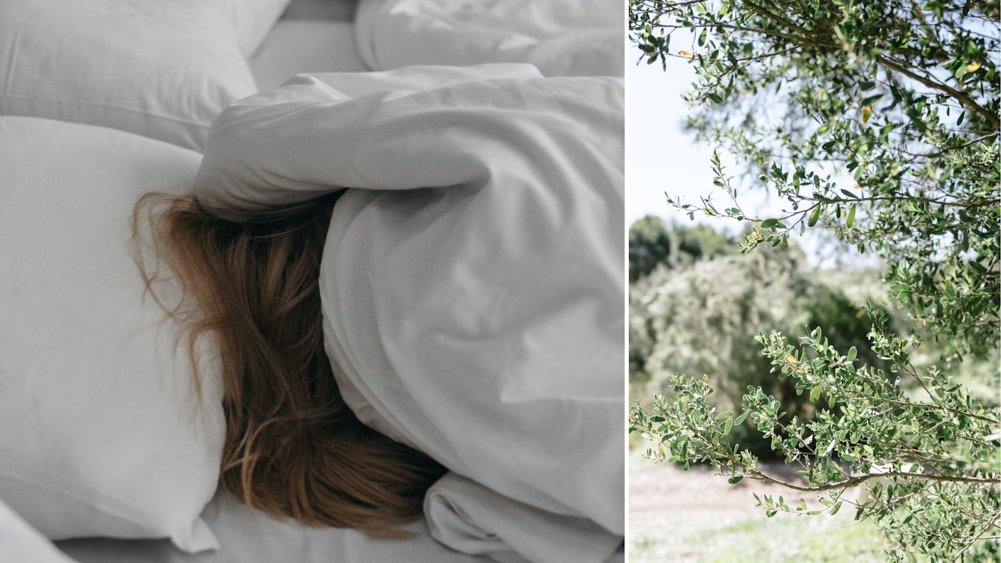 Sleep