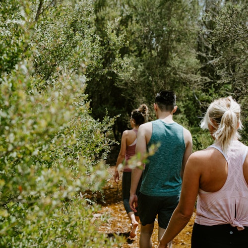 A group of people walking through nature