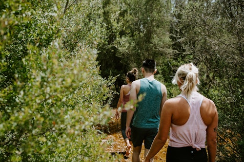 A group of people walking through nature