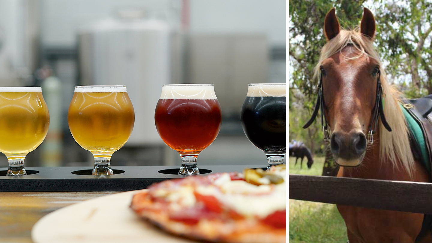 Side by side image of Escape Brewing and The Ranch Horse Riding