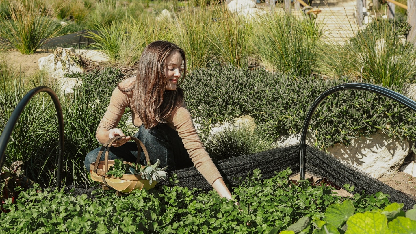 Mornington Peninsula Hot Springs Blog