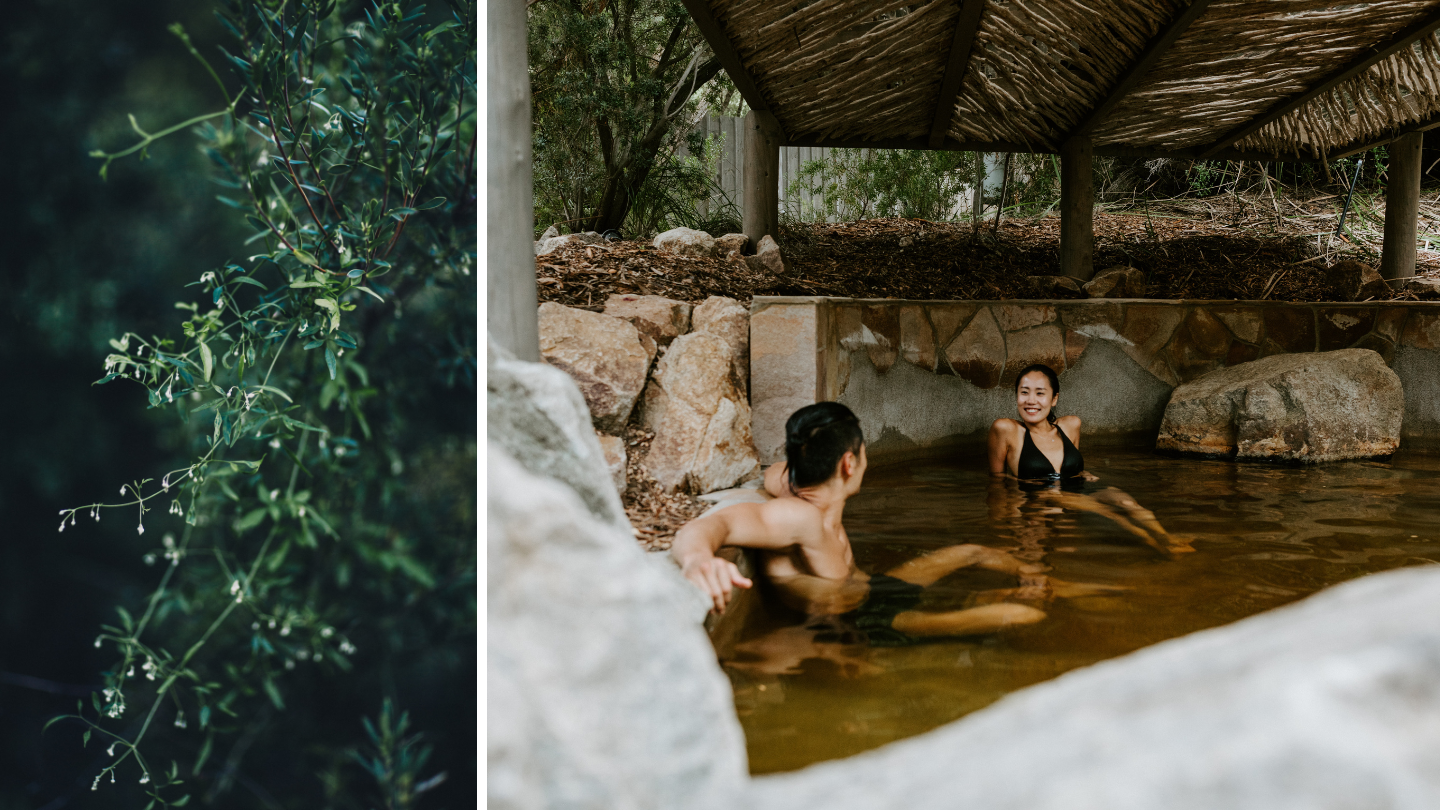 Bathing experience Peninsula Hot Springs