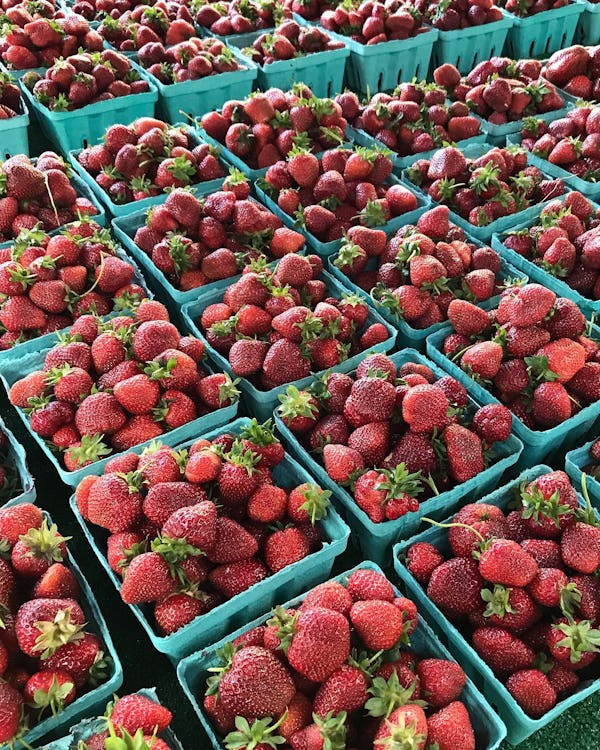 Brooklyn Borough Hall Greenmarket Strawberries