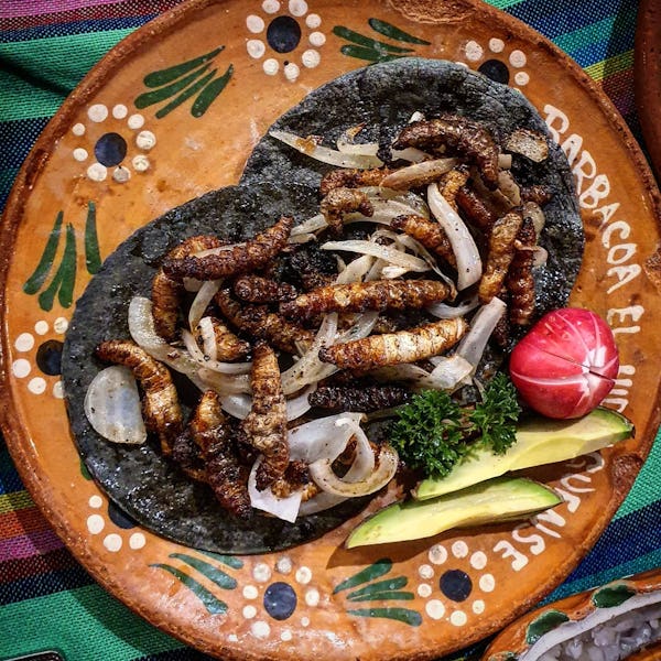 El Hidalguense Tacos