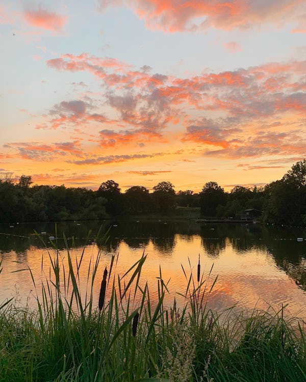 Hampstead Heath ponds Sunset 
