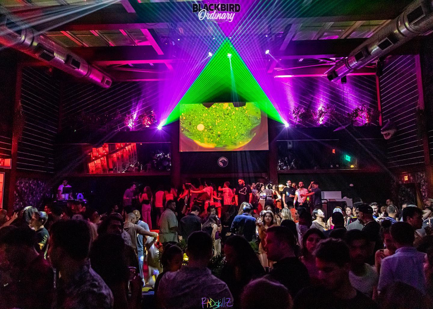 1655642580-blackbird-ordinary-