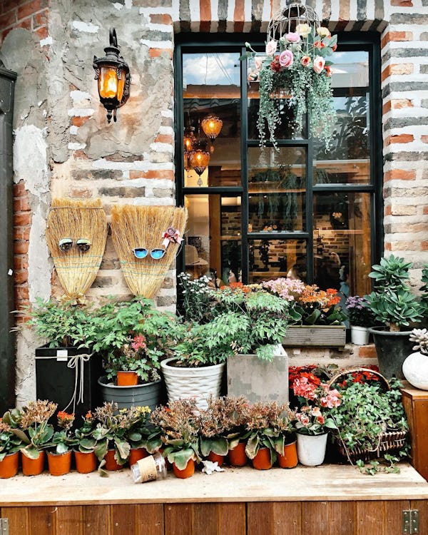 Flower Yard Cafe Window