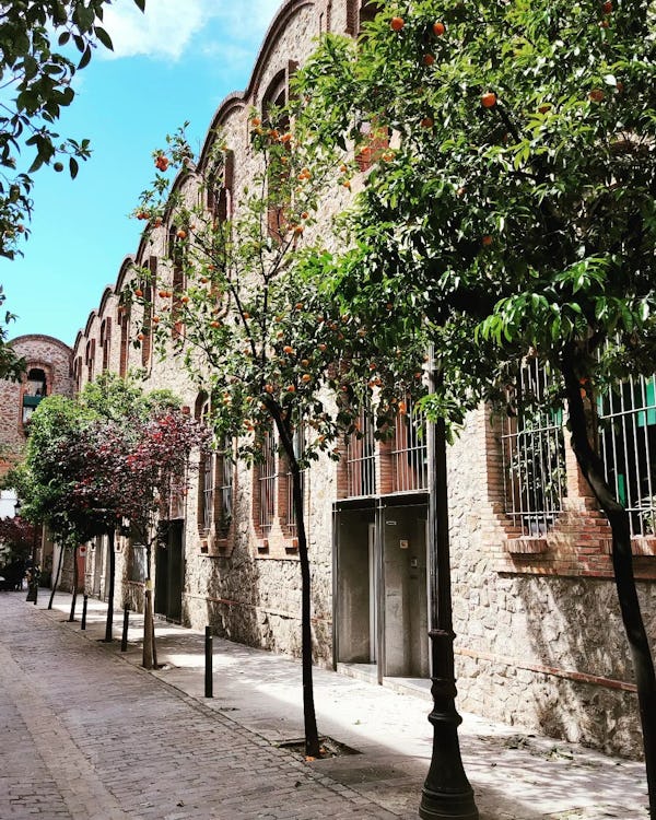 Sant Andreu Street