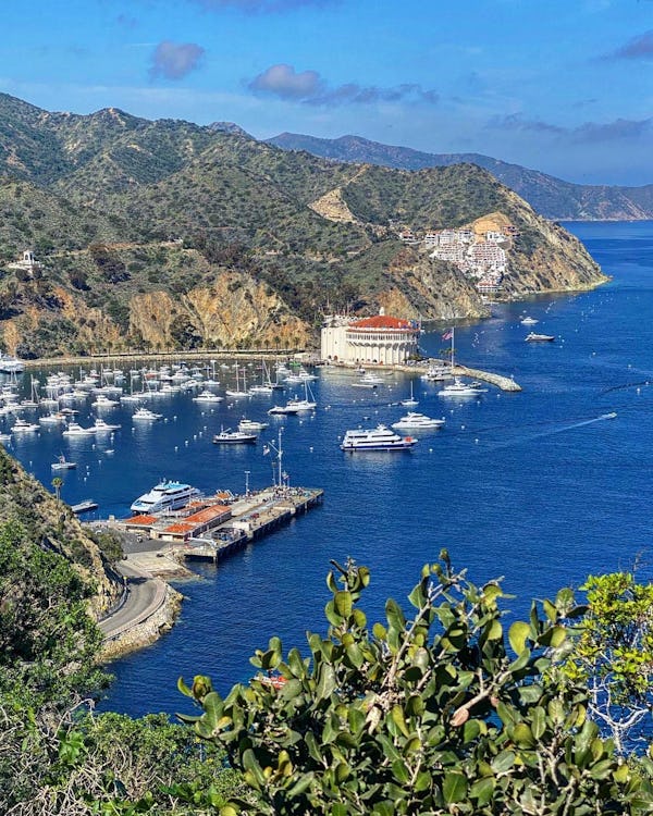 Catalina Island - View