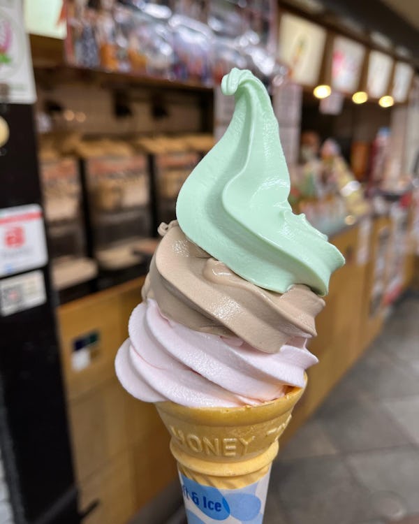 Nakano Broadway - Ice Cream