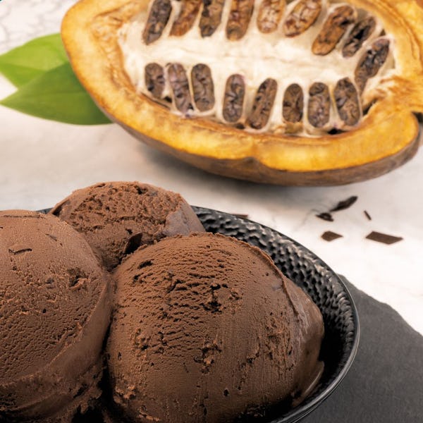 chocolate ice cream in a bowl next to a cocoa pod