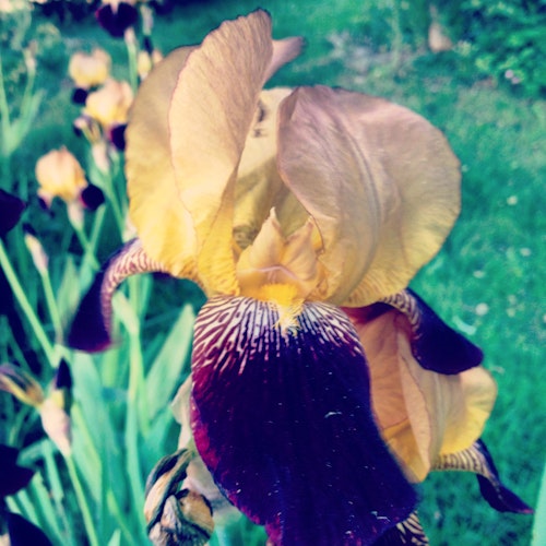 Cover Image for undefined