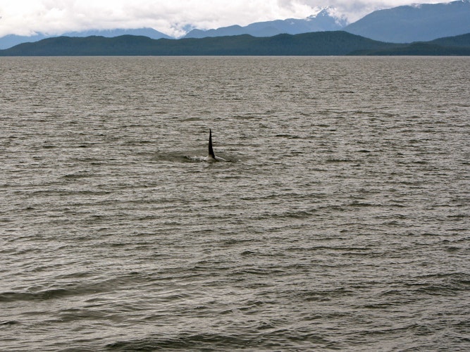 Cover Image for undefined