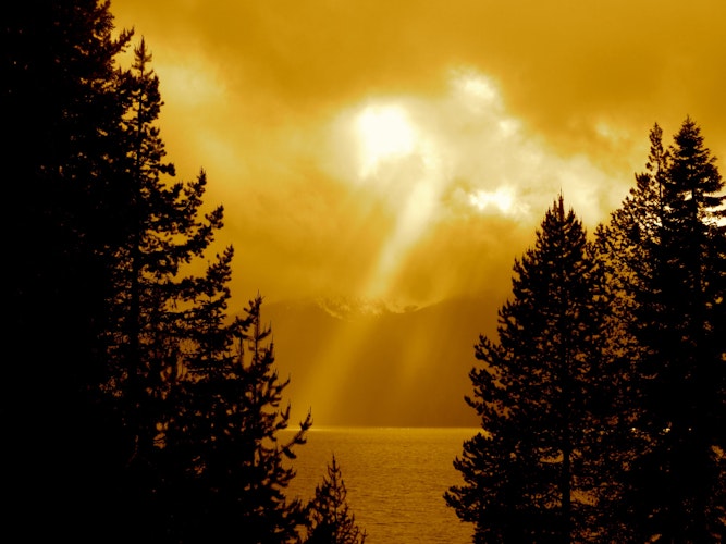 Cover Image for undefined