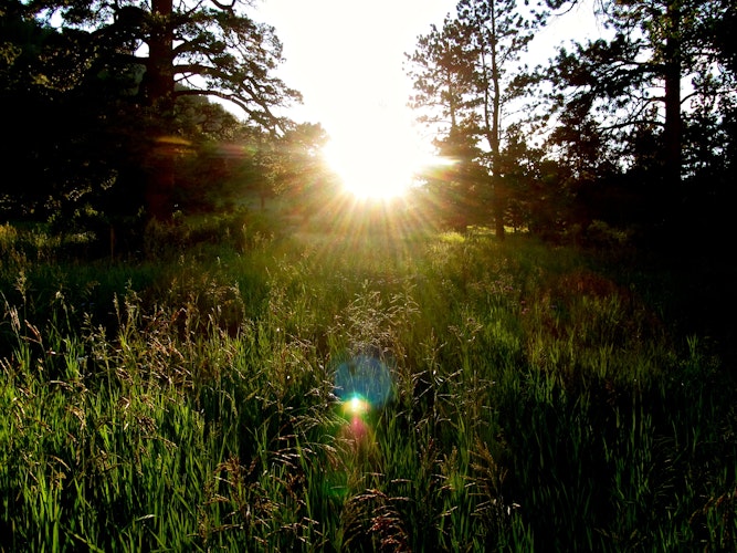 Cover Image for undefined