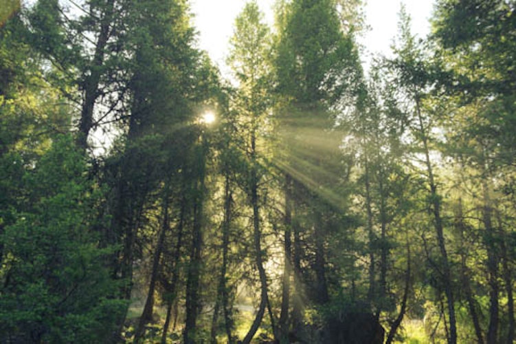 Cover Image for undefined