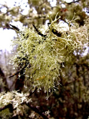 Cover Image for undefined