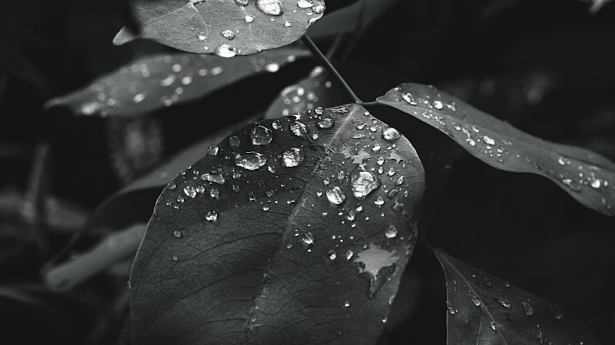 Cover Image for undefined