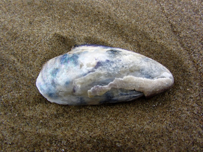 Cover Image for undefined