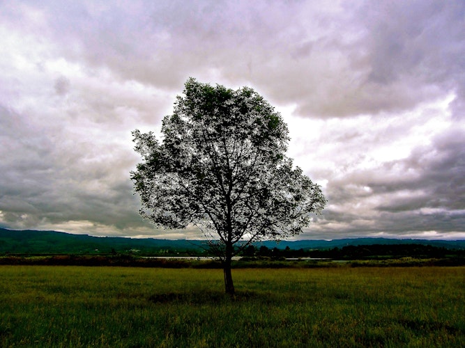 Cover Image for undefined
