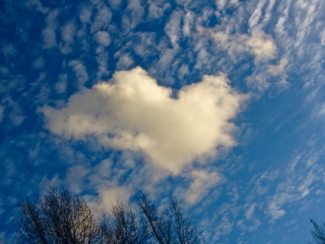 Cover Image for undefined