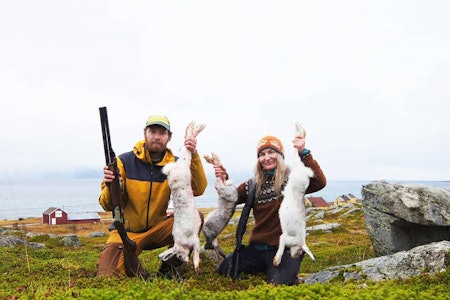 Suksess med samarbeid: Vi starter dagen med tre harer før lunsj. Teamwork og strategisk gåing gir uttelling på to av dem. harejakt uten hund vannøya troms