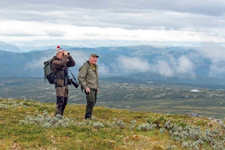 NY DAG, NYE SJANSER: Skodda letter omsider når vi har kommet opp i høyden, og jaktguiden får ganske raskt bukker i kikkerten. Jeger og jaktguide på vidda